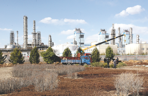 体育平台App logo